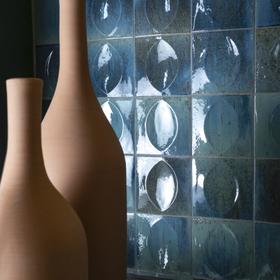 Ragno Borgo Dolciano 011