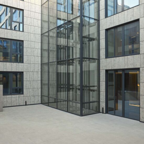 Ragno Regina Giovanna 001