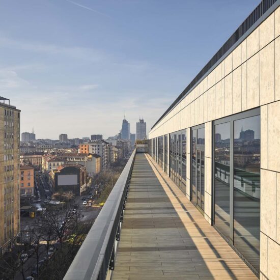 Ragno Regina Giovanna 004