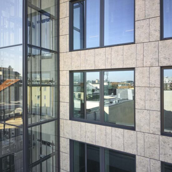 Ragno Regina Giovanna 008