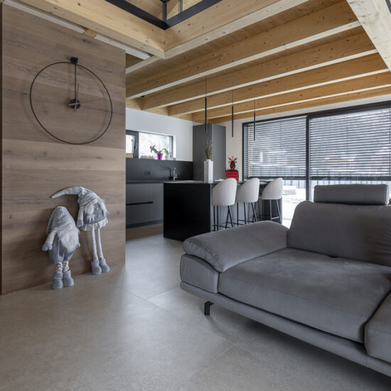 Ragno B&B Fiemme in vista 047