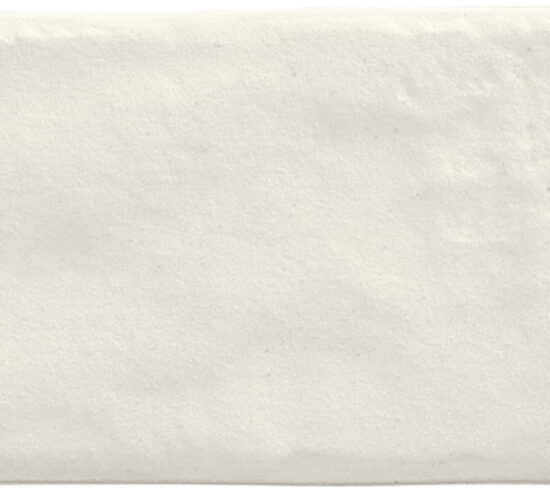 ragno calce r02q.jpg