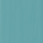 ragno candy r15m.jpg