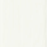 ragno candy r15p.jpg