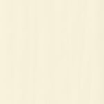 ragno candy r15q.jpg