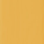 ragno candy r15r.jpg