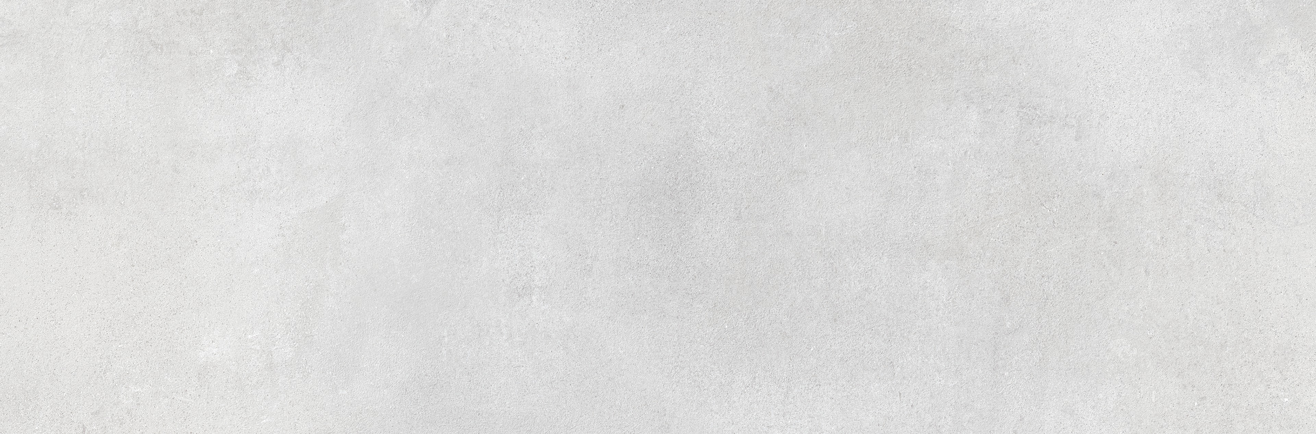 ragno clayton rae7.jpg