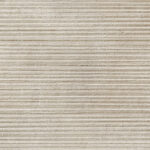 ragno clayton raef.jpg