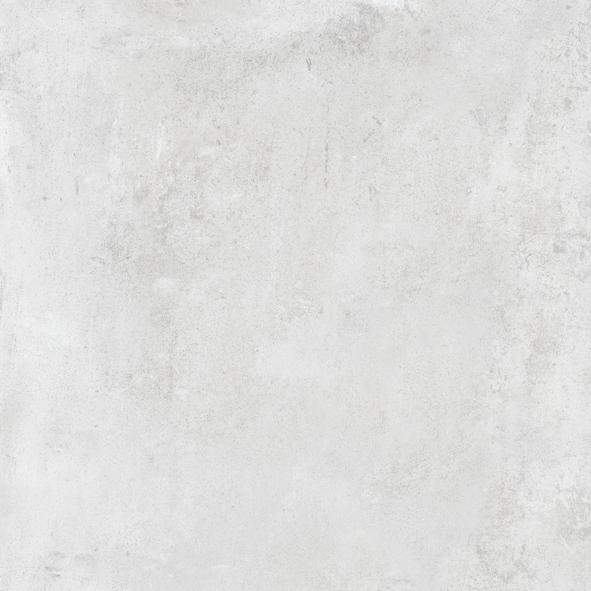 ragno clayton rapy.jpg