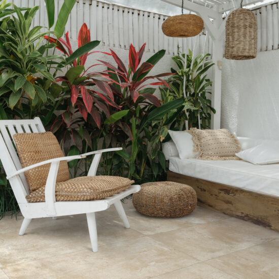 ragno clayton 004.jpg