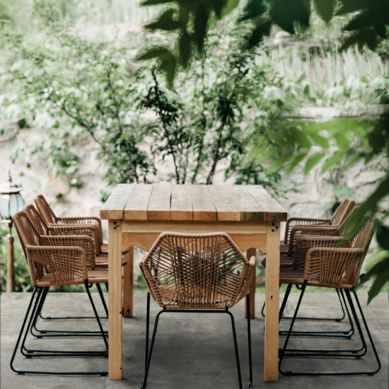 ragno clayton 019.jpg