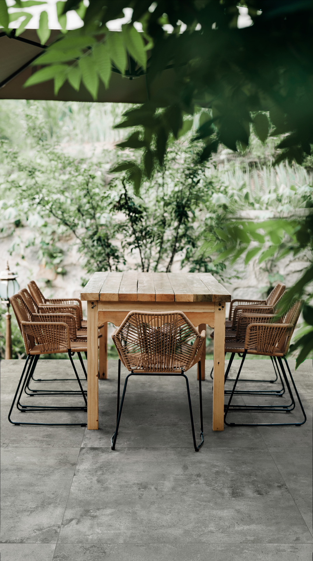 ragno clayton 019.jpg