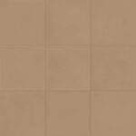 ragno contrasti r7gt.jpg