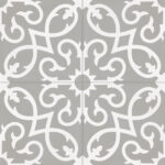 ragno contrasti r7hc.jpg