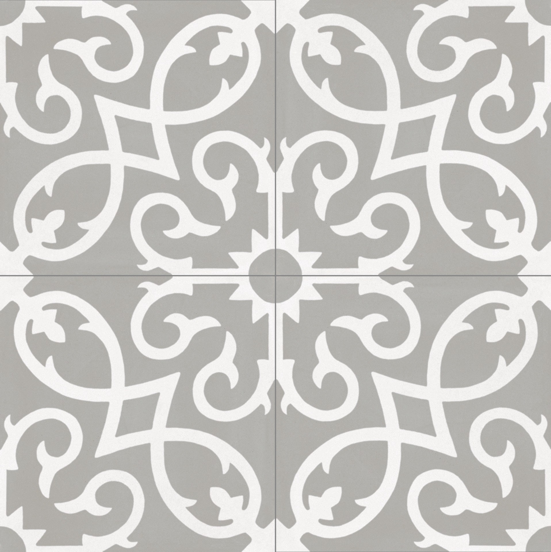 ragno contrasti r7hc.jpg