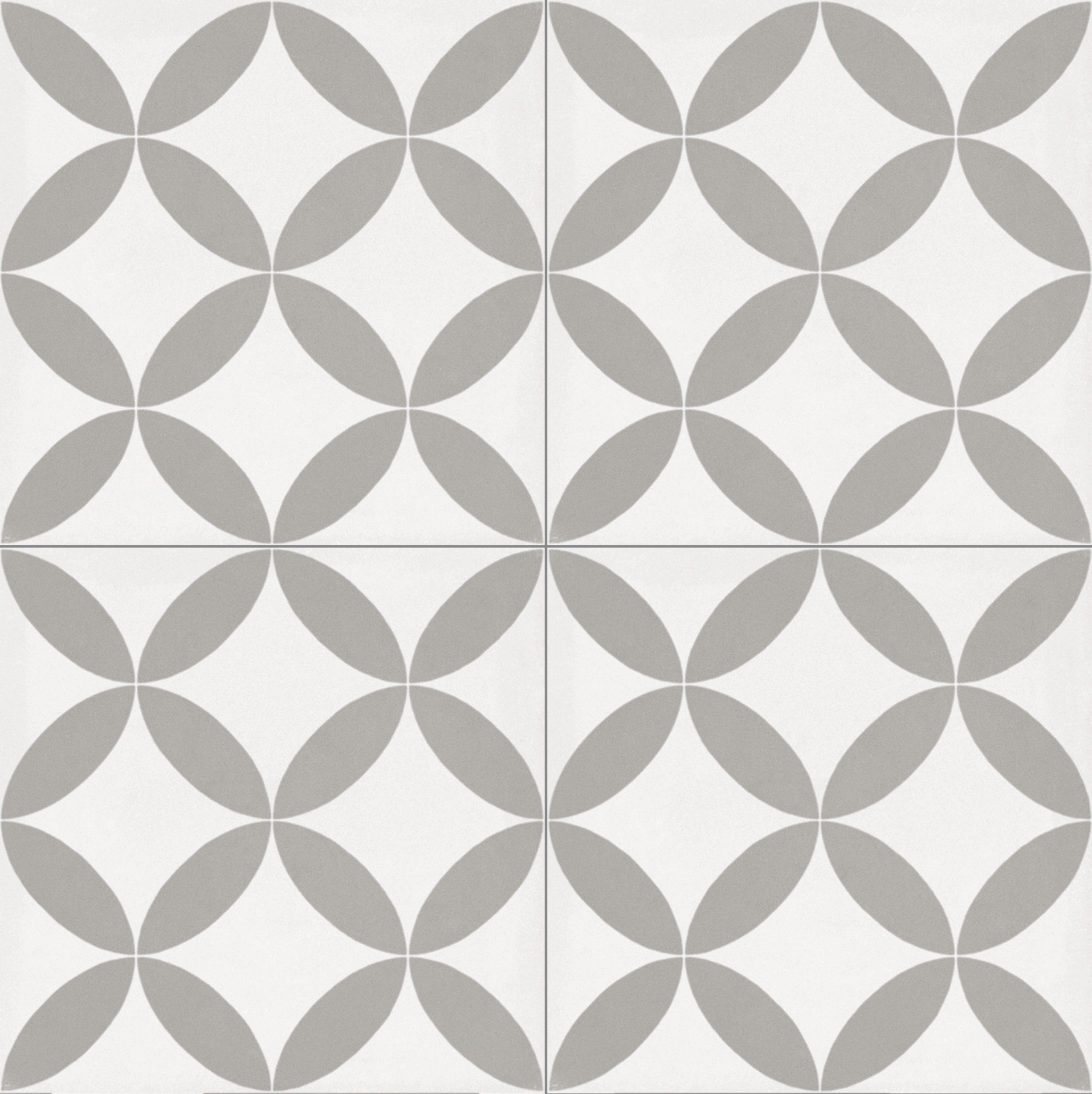 ragno contrasti r7he.jpg