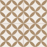 ragno contrasti r7hf.jpg