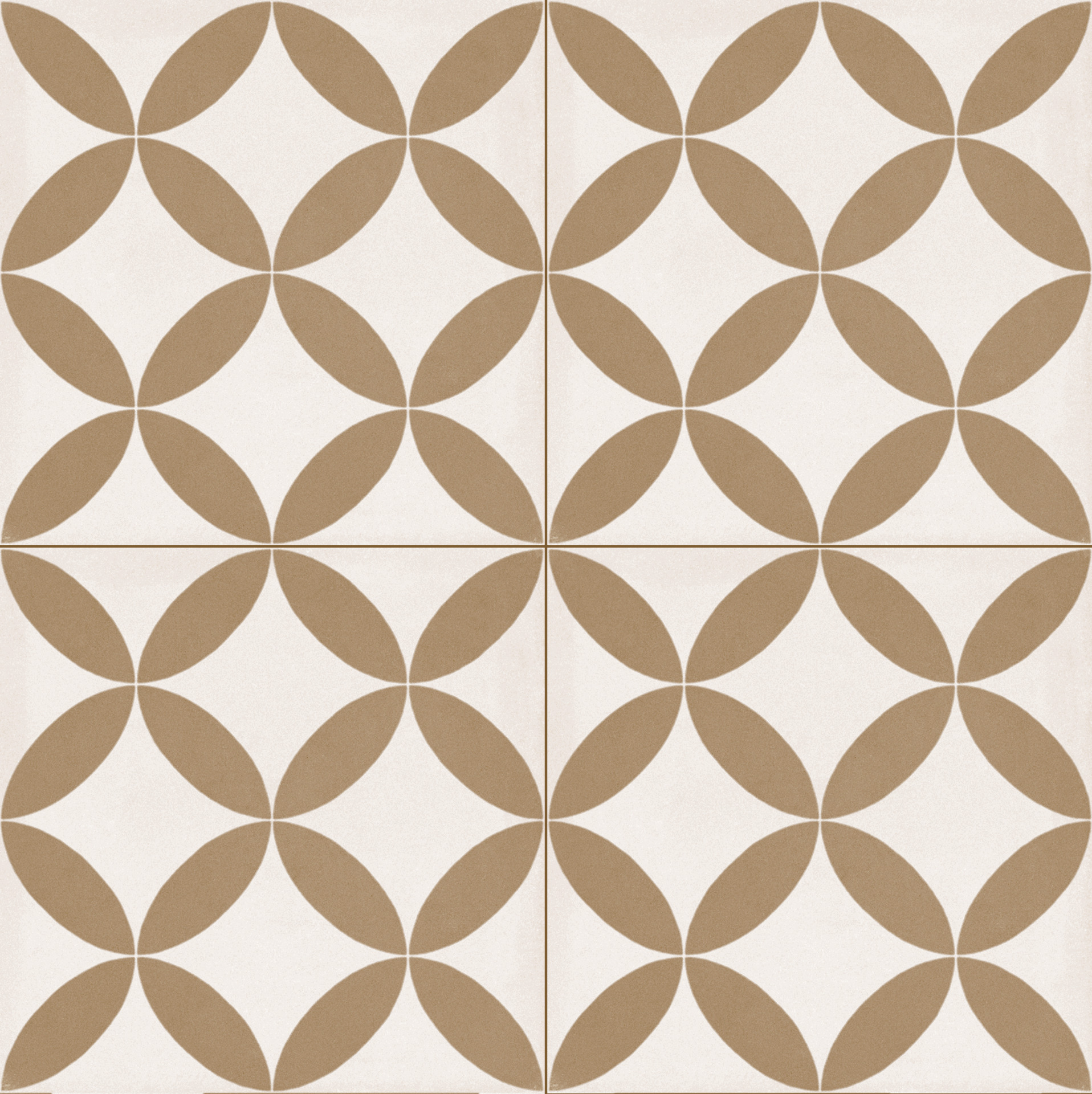 ragno contrasti r7hf.jpg