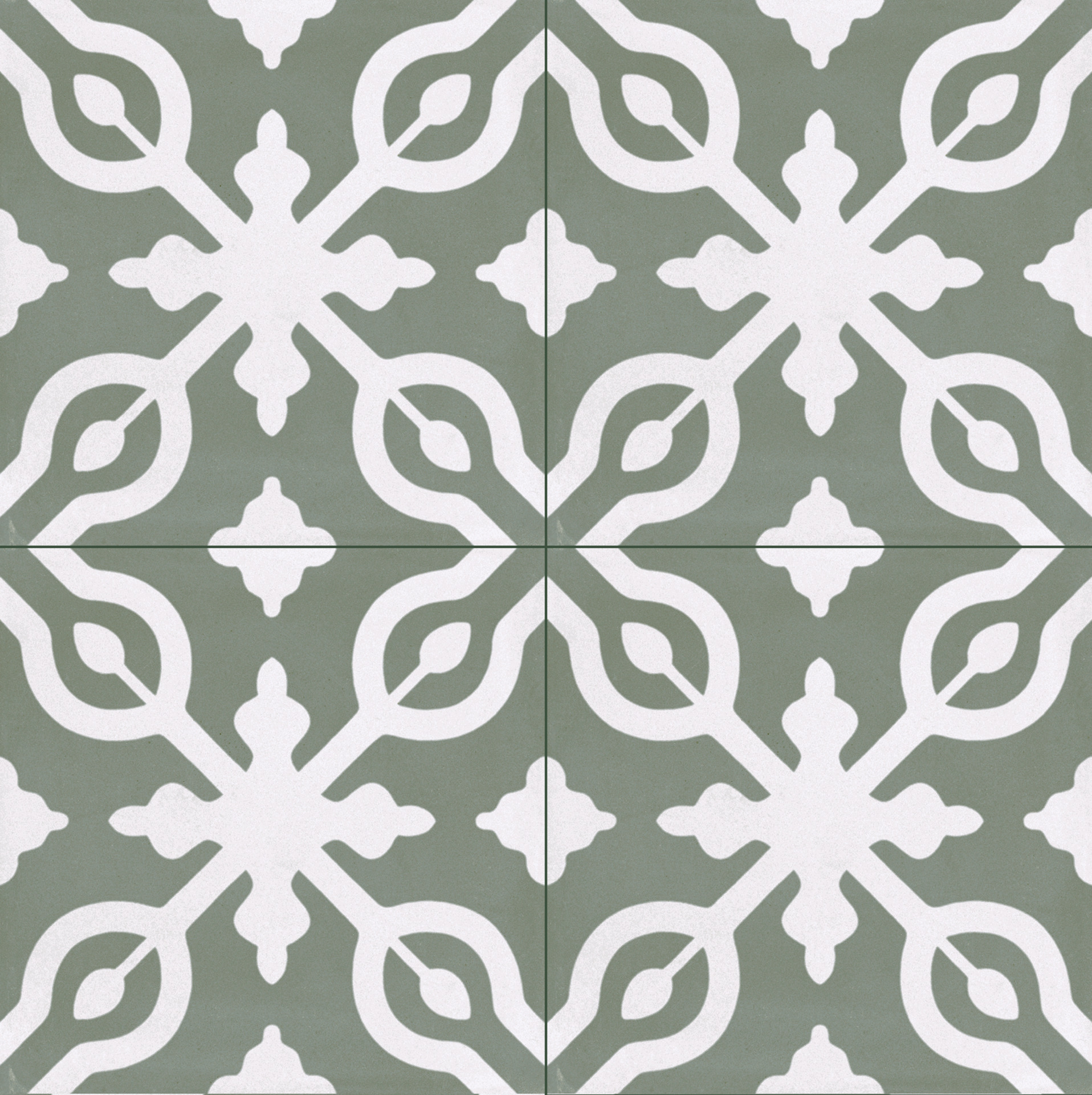 ragno contrasti r7hn.jpg