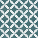 ragno contrasti r7hs.jpg