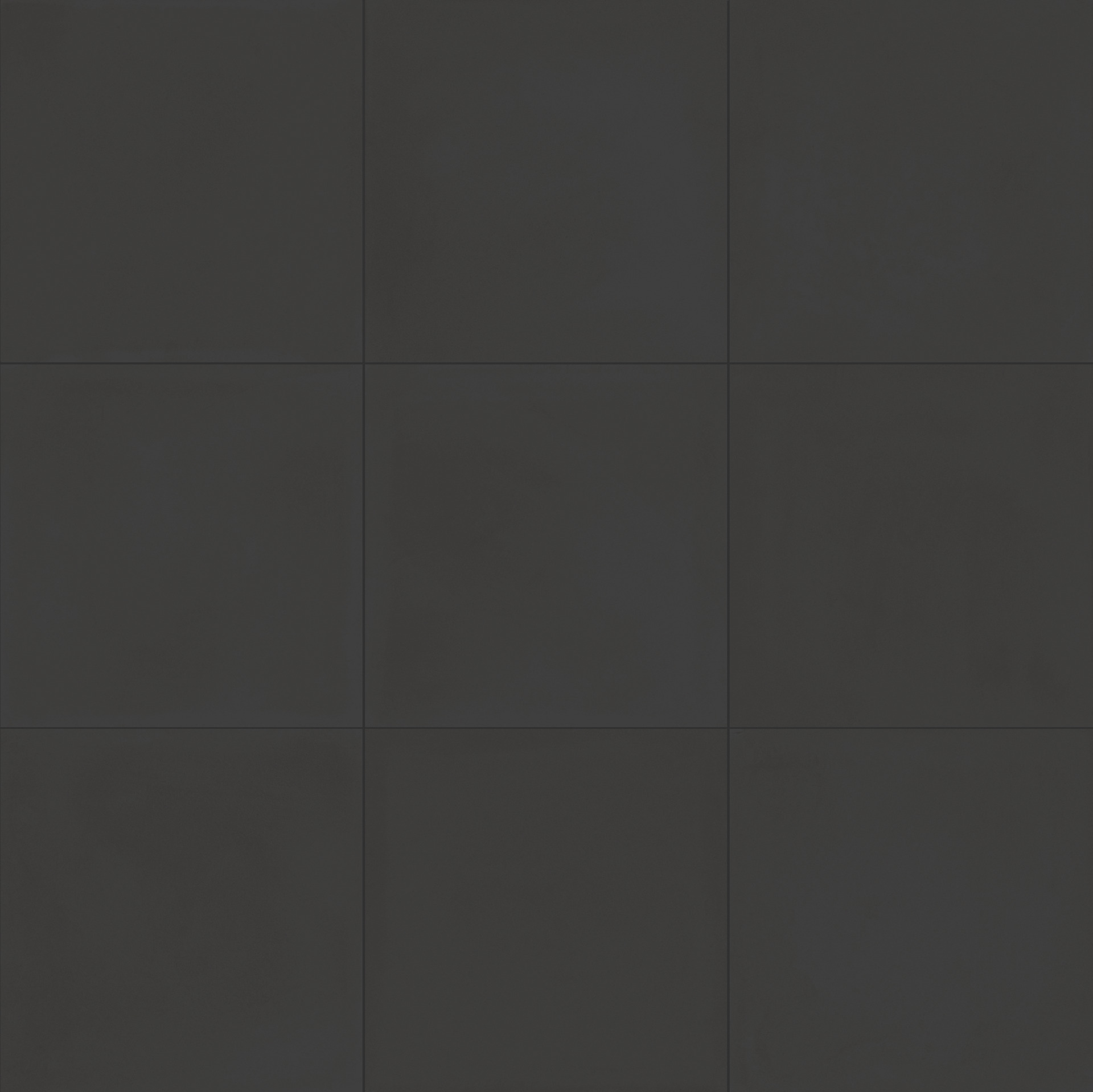 ragno contrasti r7hu.jpg