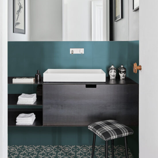 ragno contrasti 001.jpg