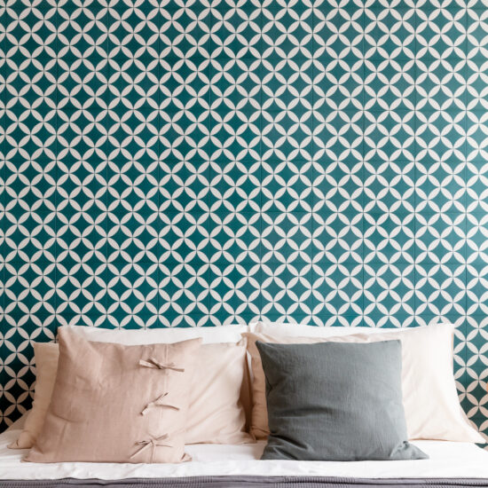 ragno contrasti 016.jpg