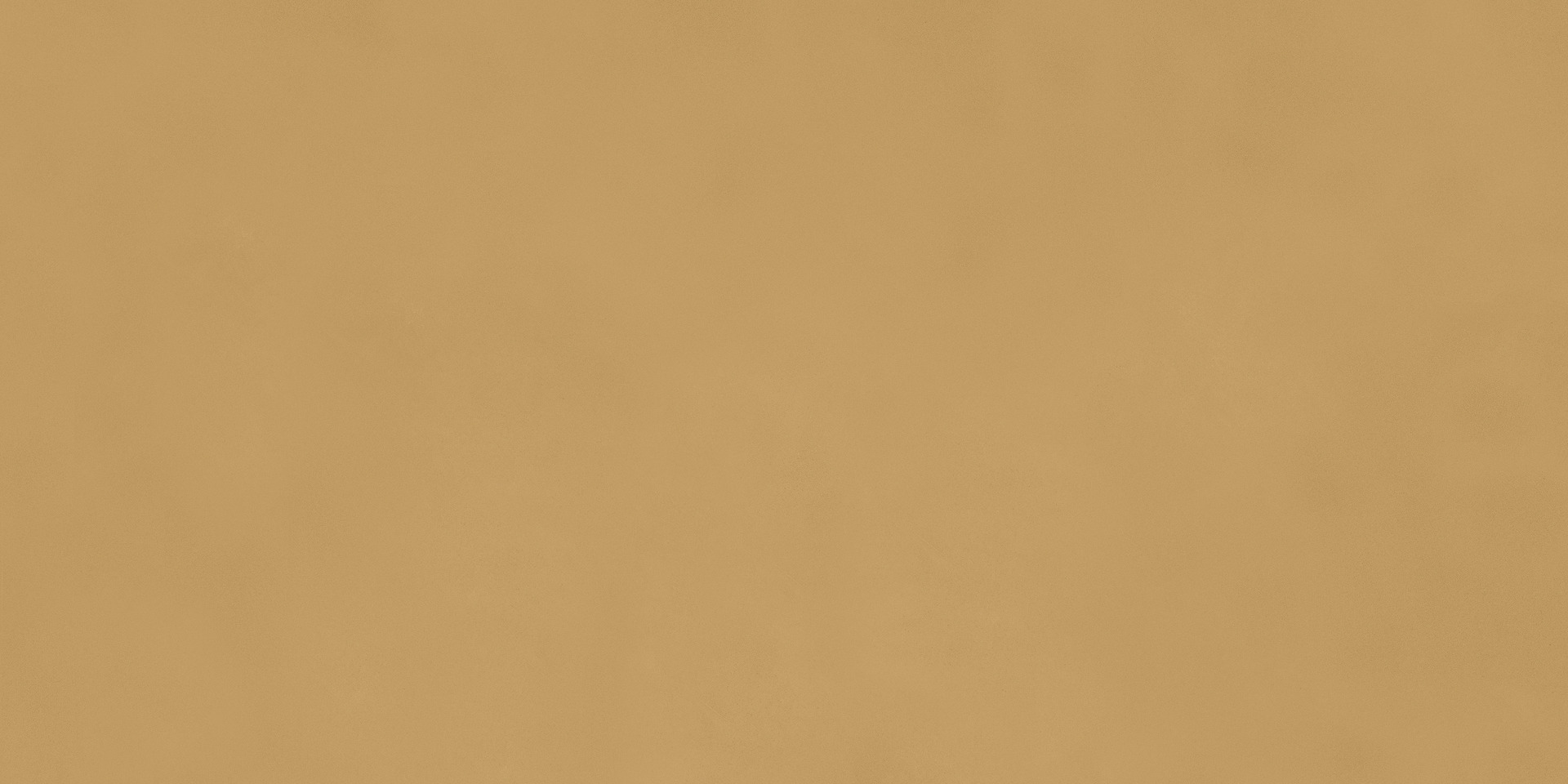 ragno decora ra5d.jpg