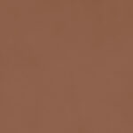 ragno decora ra5f.jpg