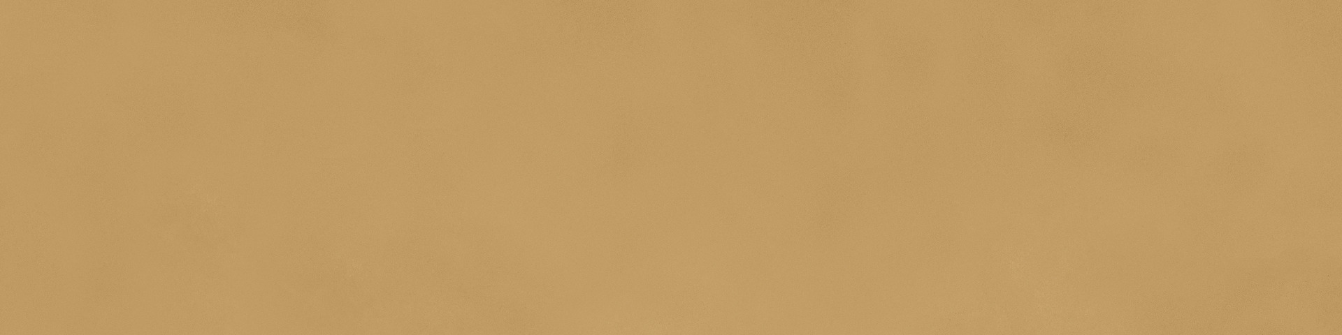 ragno decora ra5m.jpg