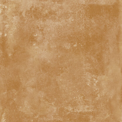 ragno epoca r54v.jpg