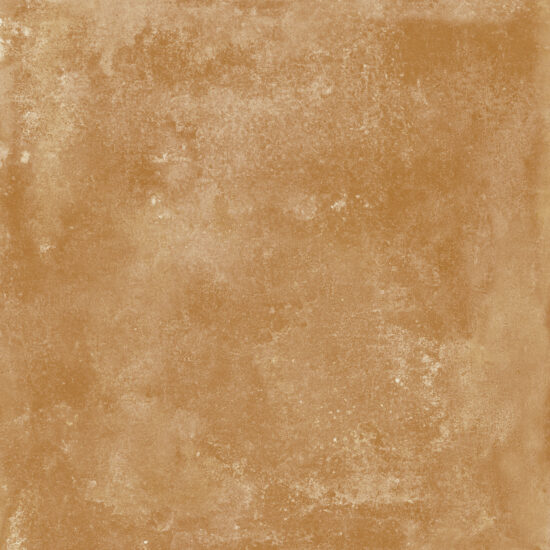 ragno epoca r54v.jpg