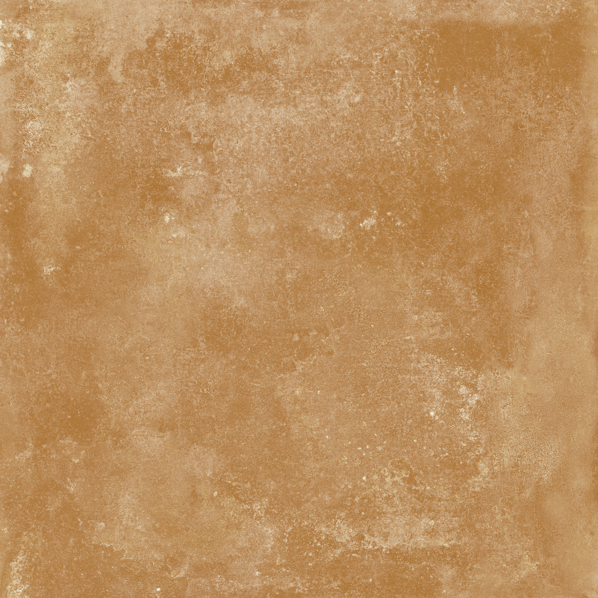 ragno epoca r54v.jpg