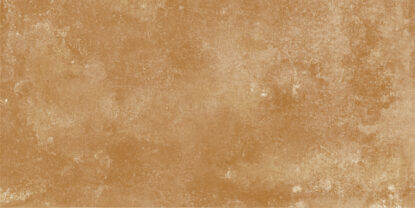 ragno epoca r54z.jpg