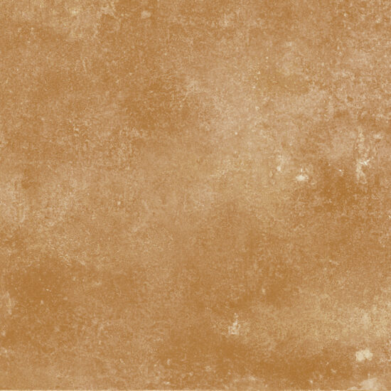 ragno epoca r54z.jpg