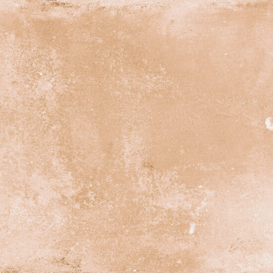 ragno epoca r551.jpg