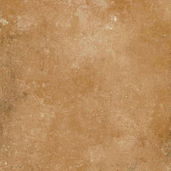 ragno epoca r558.jpg