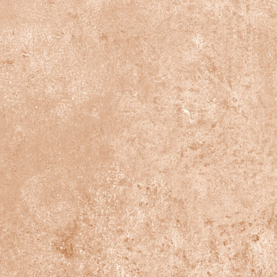 ragno epoca r55f.jpg