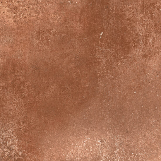 ragno epoca r55g.jpg