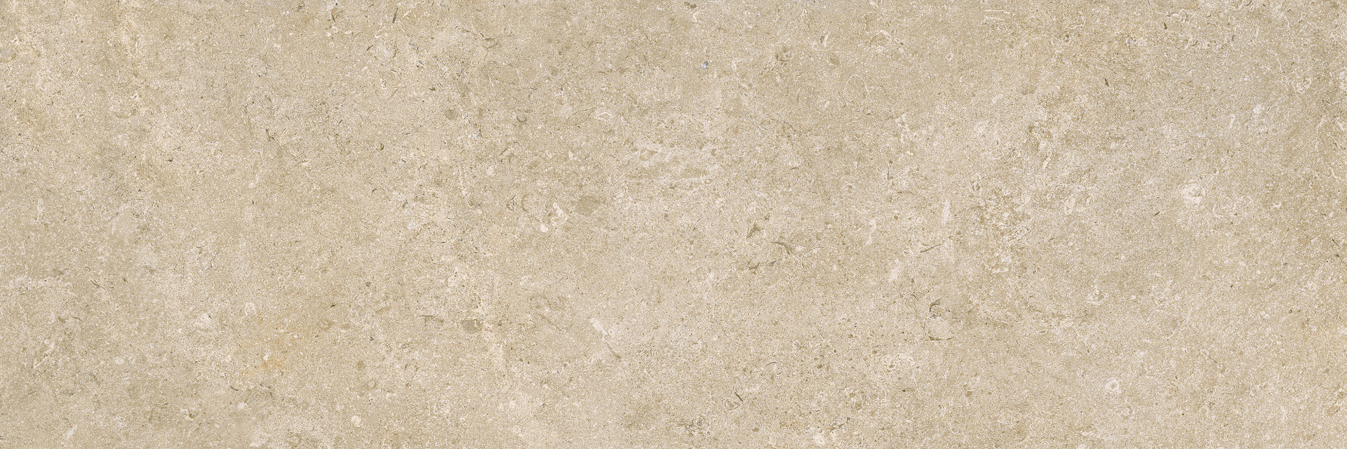 ragno eterna r8j0.jpg