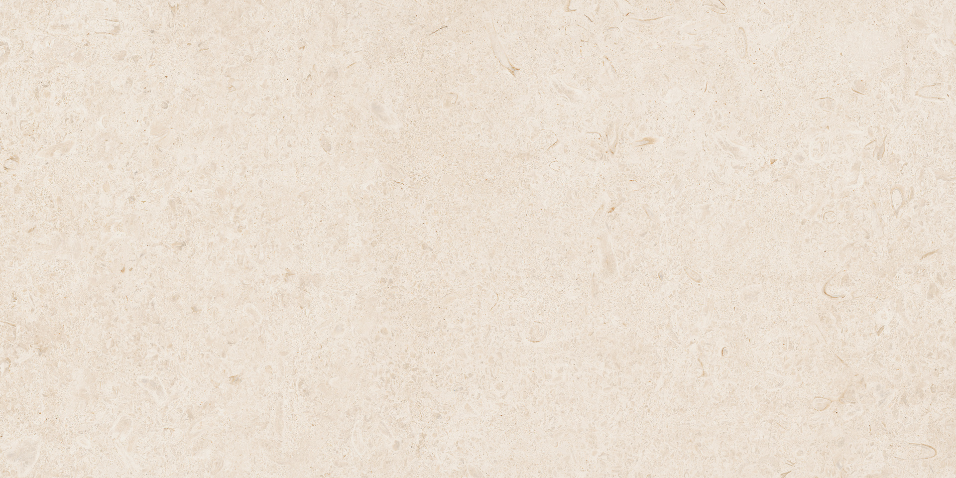 ragno eterna r8jk.jpg