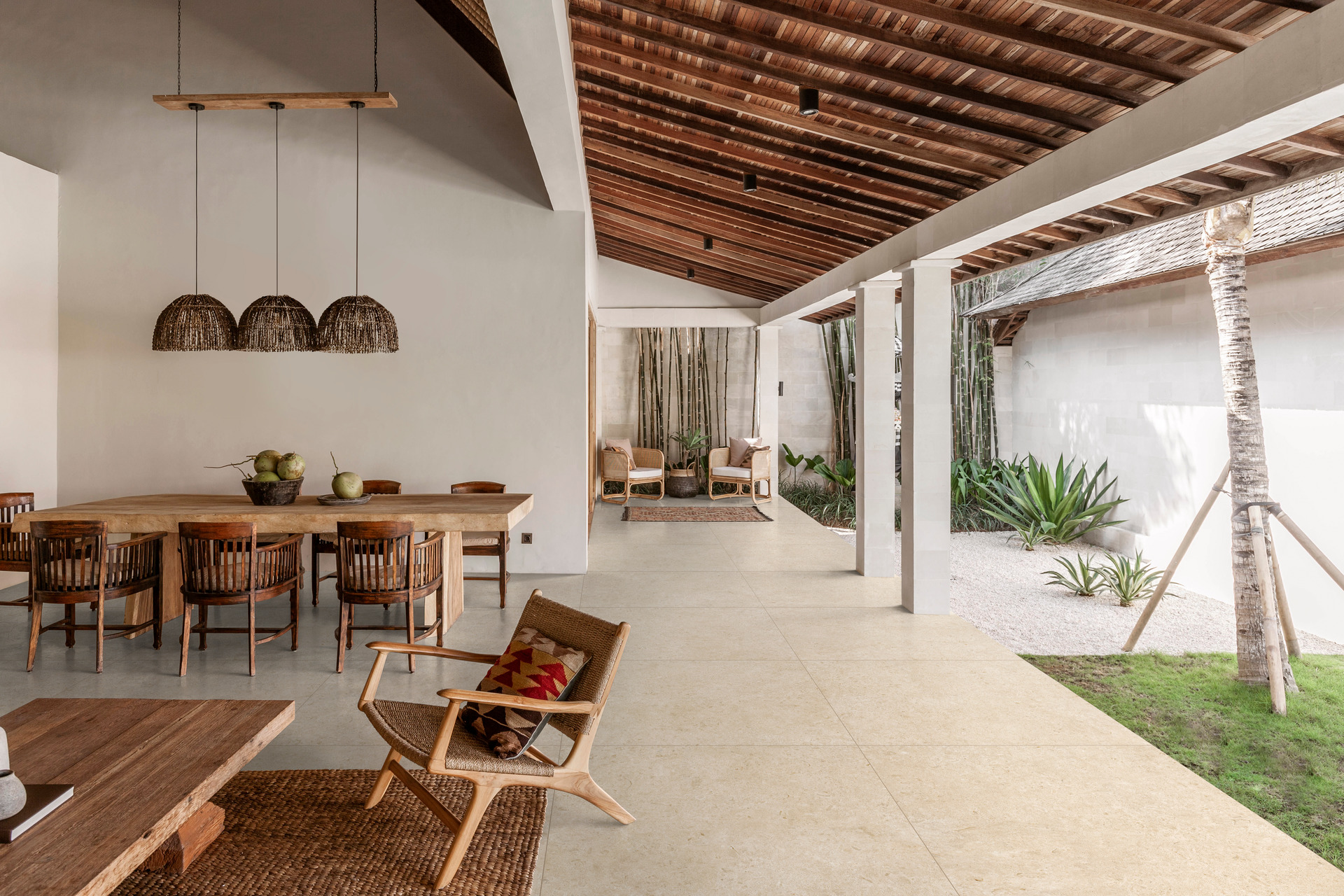 ragno eterna 043.jpg