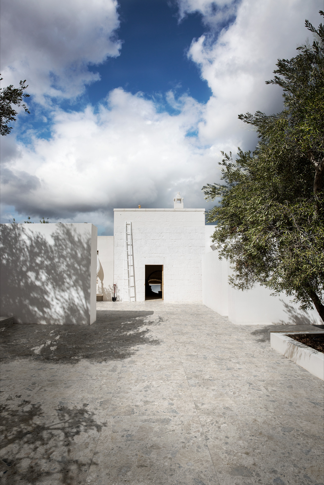 ragno eterna 047.jpg