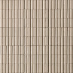 ragno glace raem.jpg