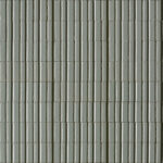 ragno glace raeq.jpg