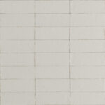 ragno glace raev.jpg