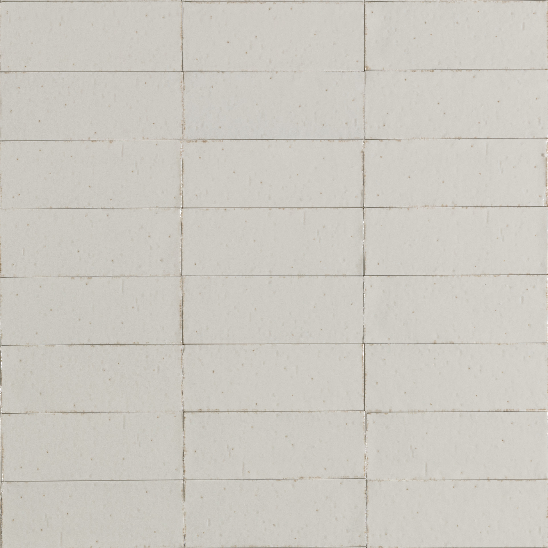 ragno glace raev.jpg