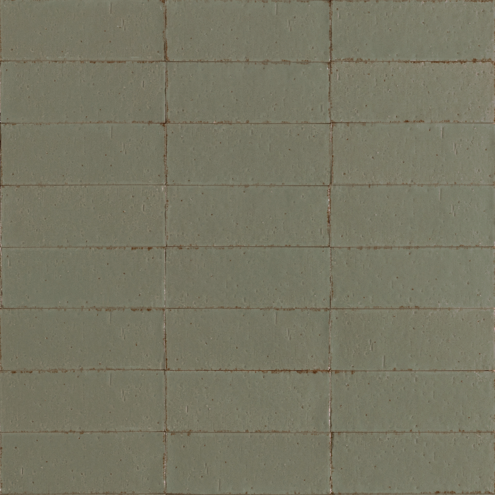 ragno glace raex.jpg