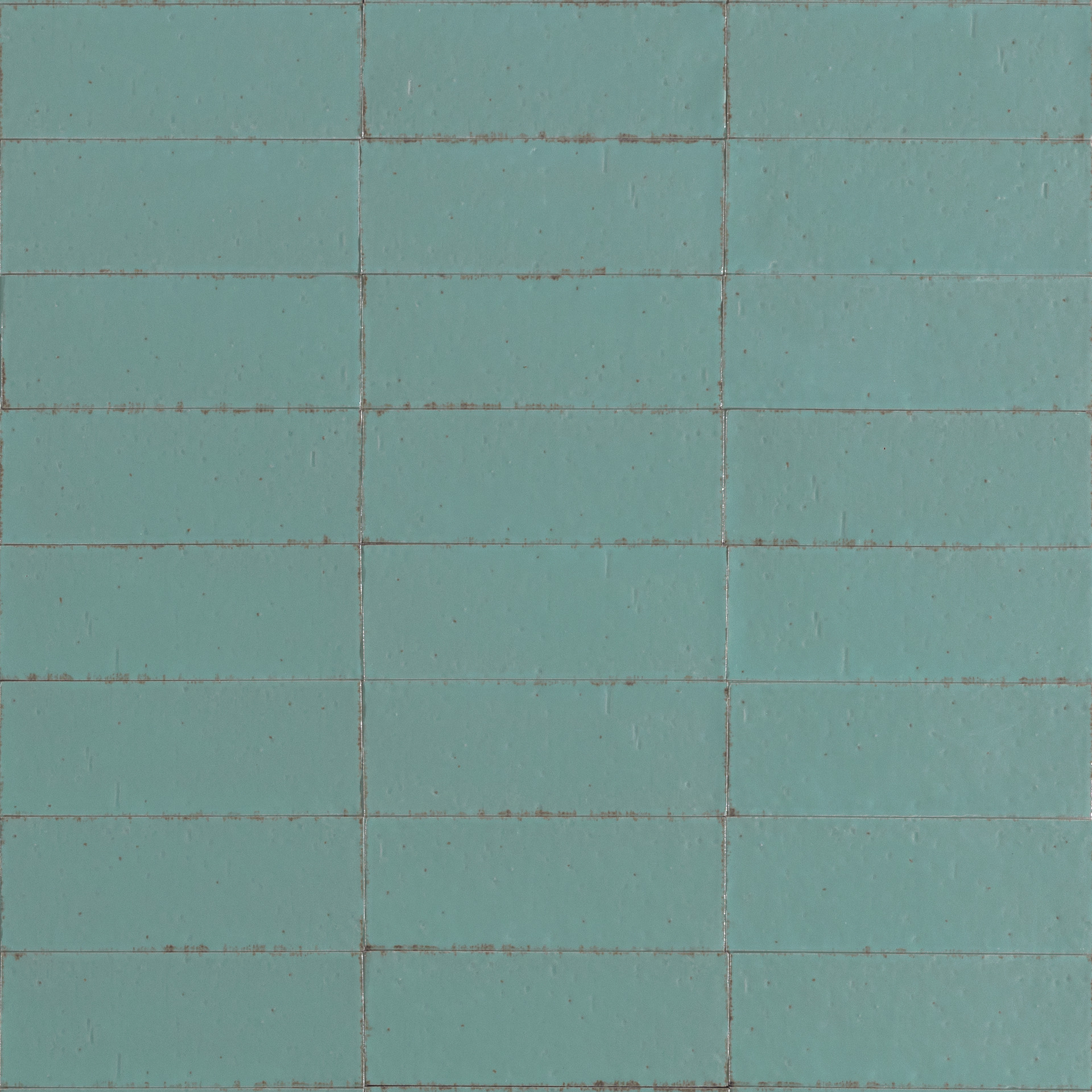 ragno glace raey.jpg