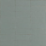 ragno glace raez.jpg